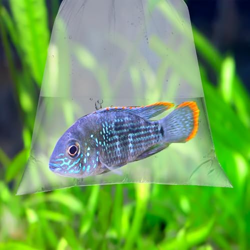 Aogigigio Fish Bags - 100pcs Clear Shipping Bags for Live Fish, 6"X12", Leak Proof, 2 Mil Thick