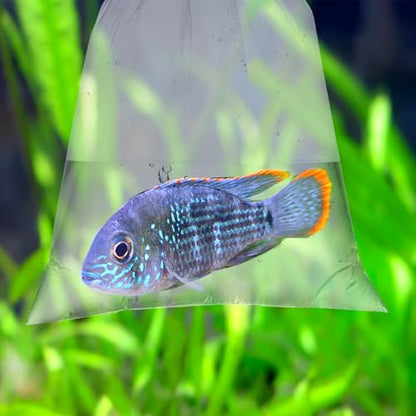 Aogigigio Fish Bags - 100pcs Clear Shipping Bags for Live Fish, 6"X12", Leak Proof, 2 Mil Thick