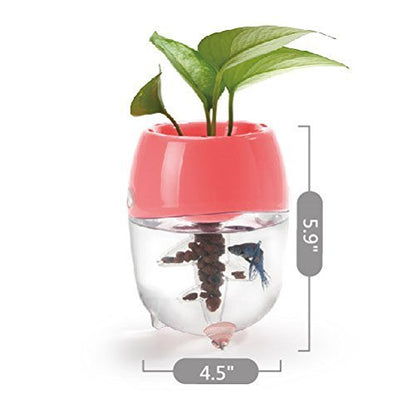 Dr. Moss Aquaponic Fish Tank Aquarium for Betta Fish with Water Garden Planter Top Lid Natural Ecosystem for Plant Growth (Green)