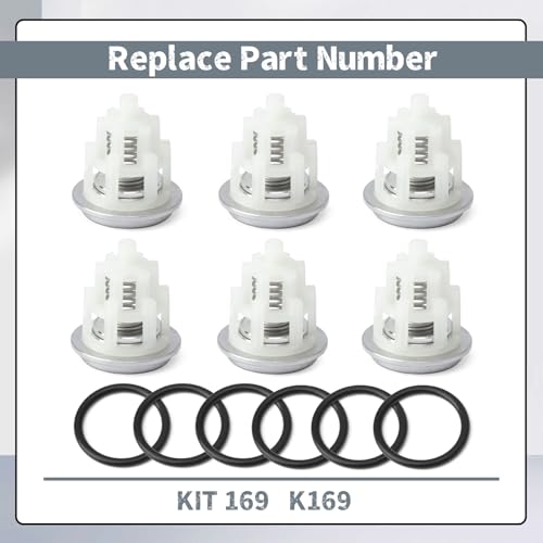 6Pcs KIT 169 Check Valve Replacement for General Pump TSF66 TSF1819 TSF2221 TSF2021 TSF2421 TSF2219 Series for Interpump (GP), Replace K169