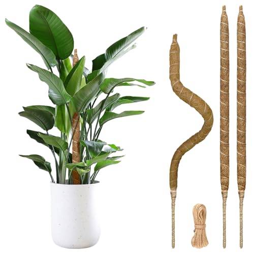 28" Bendable Plant Support Moss Pole 3 Pack for Climbing | Bendable Coco Coir,20FT Jute Rope Included,For Monstera,Pothos,Philodendron,Indoor Plant Support, Climbing & Training