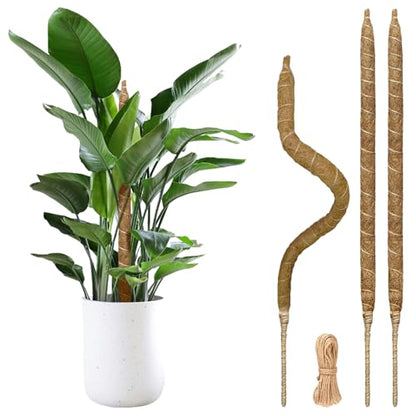 28" Bendable Plant Support Moss Pole 3 Pack for Climbing | Bendable Coco Coir,20FT Jute Rope Included,For Monstera,Pothos,Philodendron,Indoor Plant Support, Climbing & Training