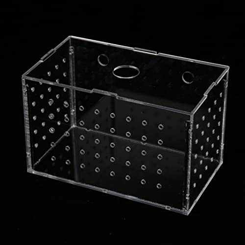 Fish Breeder Box, Aquarium Fish Breeding Box, High Transparency Acrylic Hatchery Incubator with Suction Cups for Baby Fish Shrimp Clownfish Isolation and Rearing (14 * 8 * 9CM) - size: 14*8*9CM