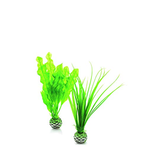 biOrb Easy Plant Pack, Small (Pack of 2) - color: Green, size: Small