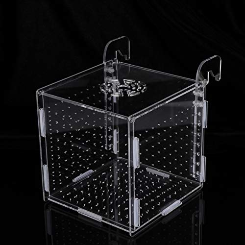 POPETPOP Fish Breeding Box-2 Box Hatchery Incubator Aquarium Fish Breeding Boxes Divider Hatching Boxes Accessory-Hook Pattern - size: Size 5