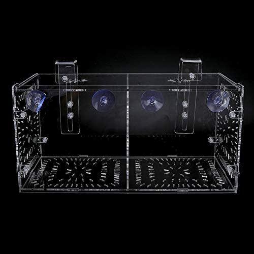 Fydun Fish Isolation Breeding, Box Acrylic Incubator Ing Seedlings Incubation Reproduction Aquarium Ery and Parenting for Aquarium (30CM*15CM*15CM) - size: 30CM*15CM*15CM, style: 30CM*15CM*15CM