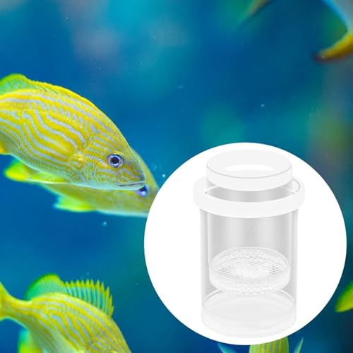 Fish Hatchery, Fish Isolation Box, Separation, White - color: White