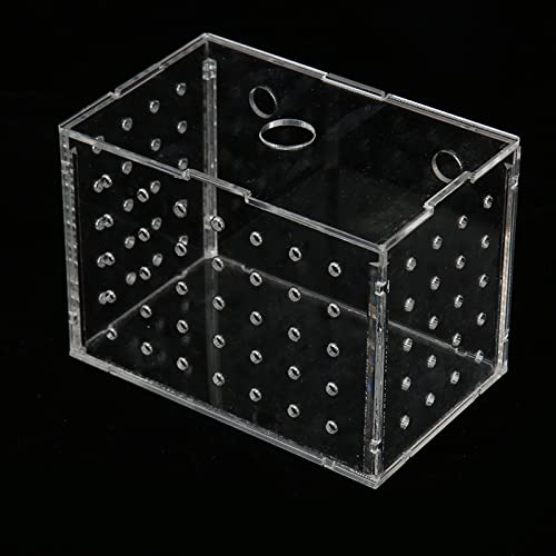 Fish Breeder Box, Aquarium Fish Breeding Box, High Transparency Acrylic Hatchery Incubator Tank with Suction Cups, Isolation Breeding Box for Baby Fishes Shrimp Clownfish, Safe Lid (11 * 7 * 8CM)