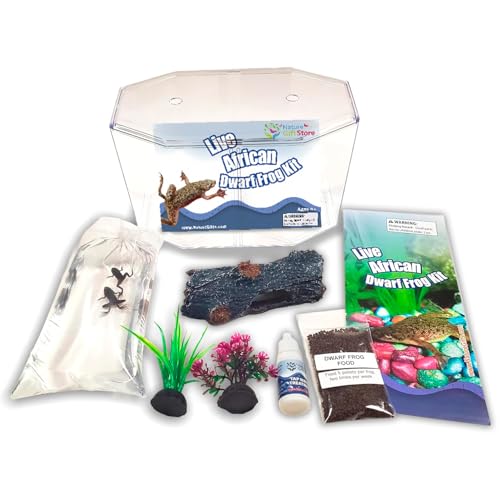 African Dwarf Frog Starter Kit with Certificate for 2 Live Frogs, Aquarium