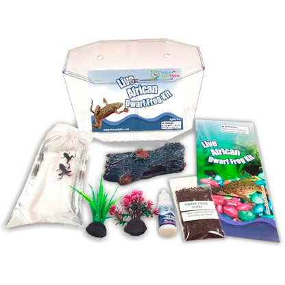 African Dwarf Frog Starter Kit with Certificate for 2 Live Frogs, Aquarium