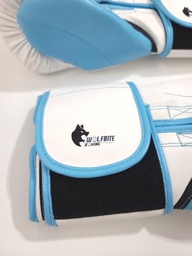 Hajime No Ippo Anime Hook & Loop Gloves Fighting Spirit First Step - size: 10oz