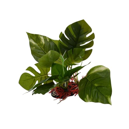 CNZ Landscaping Plastic Plant Decoration for Aquarium Fish Tank Reptile Terrarium | Aquarium, Fish Tank, Reptile Terrarium