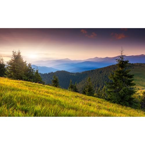 Majestic Morning Mountain Aquarium Background Tranquil Valley Pine Trees Fish Tank Background Sunrise Scenic Mountain Fir Forests Terrarium Backgrounds Green Meadow Reptile Tank Backgrounds 24x12in - color: Foggy Blue_Green, size: 24(W)x12(H)in