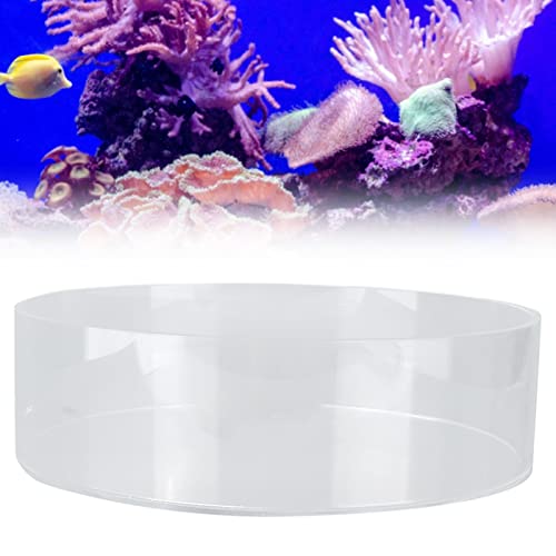 Coral Observe Lense Transparent Acrylic Fish Tank Cylinder Magnifier for Viewing Coral and Taking Pictures