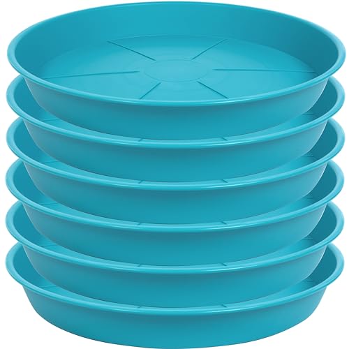 OVZILKI 6 Pack of Plant Saucer Tray 4 6 8 10 12 14 17 19 22 25 inch, Heavy Duty Plastic Pot Plant Drip Trays Saucers for for Indoors Outdoor, Plant Water Tray for Planters 4-7" (6", Teal) - color: Teal, size: 6" - 6 Pack