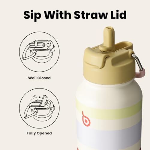BOTTLE BOTTLE 32oz Insulated Water Bottle with Pill Box | Stainless Steel,Sport Water Bottle, with Straw Dual-use Lid and Pill Box, Design for Gym - color: AuroraBands