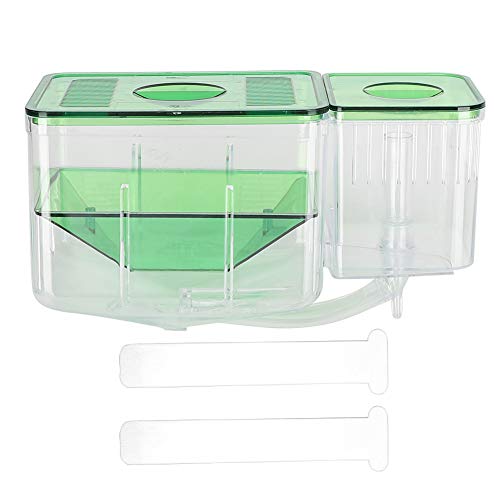 Fish Breeding Box, Transparent Aquarium Little Fish Breeding Hatching Box, Fish Tanks Double Layer Isolation Box Hatchery Incubator for Injured Small Fish Shrimp