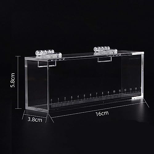 Acrylic for Fishing Photo Tank, L - size: Large