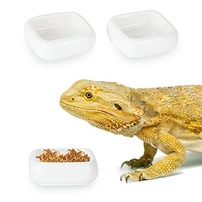 Ceramic Reptile Food Bowls, Reptile Water Food Dish (White, Small 2-Pack)