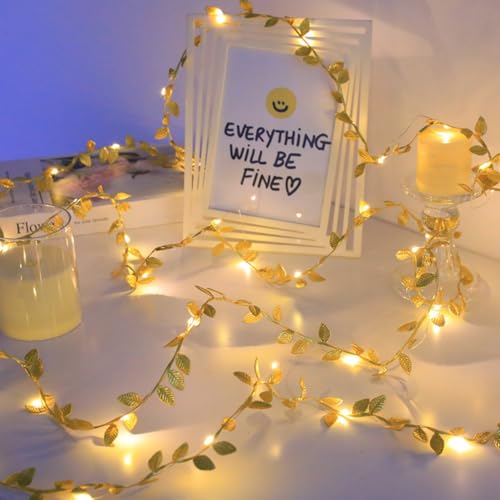 6.6 Ft 20 LED Fairy String Lights for Bedroom, String Lights for Birthday Party Wedding Christmas and Home Decoration