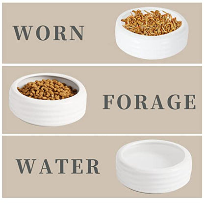 Reptile Food Bowls Ceramic Round Reptile Water Food Dish, Pet Food Bowl for Lizards, Small Snakes, Young Bearded Dragons, Gecko Tortoise Spider (White, Medium-1Pack)