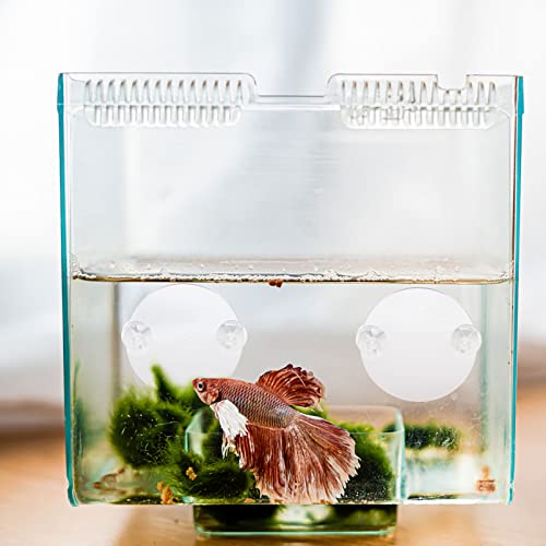 10pcs Betta Tank Mirror Cup Fish Tank Decor for Betta Fish Training High-Class Compact Design for Aquariums and Decorative Ornaments