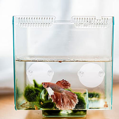 10pcs Betta Tank Mirror Cup Fish Tank Decor for Betta Fish Training High-Class Compact Design for Aquariums and Decorative Ornaments