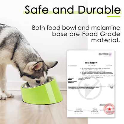 SuperDesign Mess Free 15° Slanted Bowl for Dogs and Cats, Tilted Angle Bulldog Bowl Dog Feeder, Non-Skid & Non-Spill, Easier to Reach Food L/2 Cup Green - color: Light Green, size: L/2 Cup