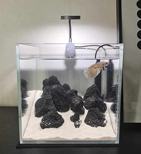 AWXZOM Small Nano Tall Rimless Tank, Glass Fish Tank, Betta Tank (2 Gallon 7.8x7.8x7.8inch/20x20x20cm) - size: 2 Gallon 7.8x7.8x7.8inch/20x20x20cm