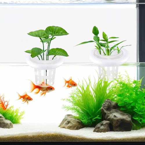 4 PCS Floating Aquarium Plant Holder, Plastic Fish Tank Basket with Foam Rings, Aquatic Pot for Fish Tank Aquaponic Plant Cultivation and Aquascape Decorations
