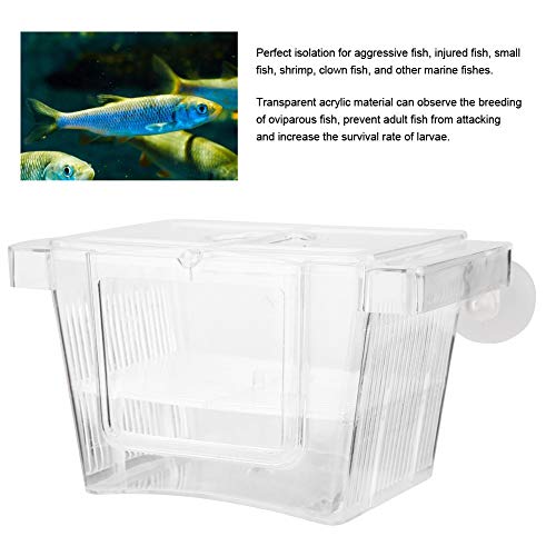 Split Fish Betta 5 Gallon Fish 14 X 8 X 8 Acrylic Aquarium Fish Breeding Box Incubation Box Small Size