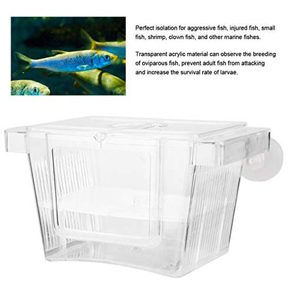Split Fish Betta 5 Gallon Fish 14 X 8 X 8 Acrylic Aquarium Fish Breeding Box Incubation Box Small Size