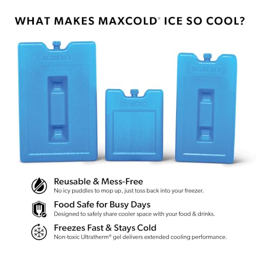 Igloo Maxcold Ice Block - color: 4pk small