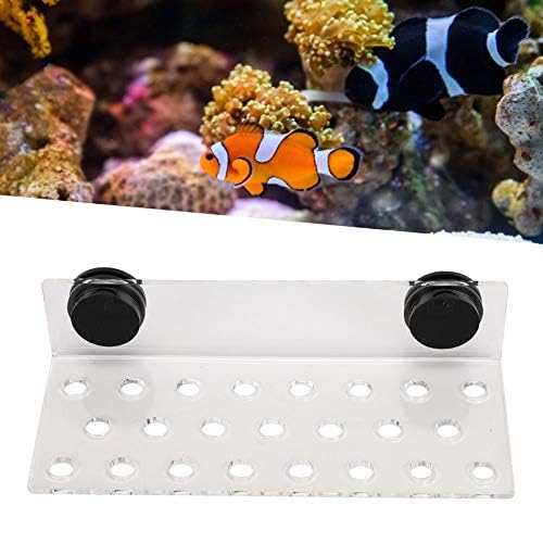 TOPINCN Acrylic Magnetic Frag Holder - Support SPS Button Bracket Base for Fish Aquarium (23 Hole)