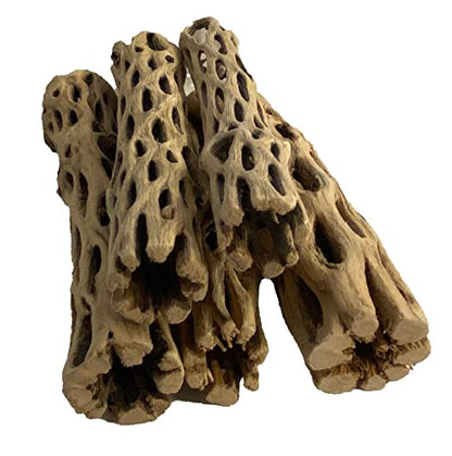 Awesome Aquatic Natural Cholla Choya Wood 5 Pieces 6” for Shrimp Habitat and Food Treat Hermit Crabs Plecos Aquarium Decoration Lowers pH Hideouts and Chew Toys Reptiles Thorn Free Dried Organic - size: 5 pc 6 inch