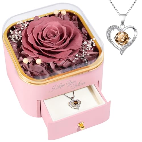 Beferr Mothers Day Forever Rose with Necklace for Mom Birthday Gifts Preserved Roses Eternal Flower for Delivery Fresh Flowers Gifts for Mother Wife Her Grandma Sister Daughter Girls Friends - color: Dusty