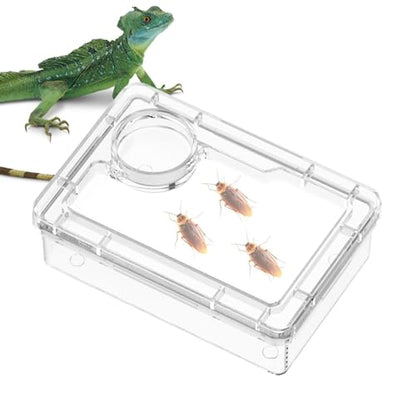 Anti-Escape Crested Gecko Food Dish, Transparent Chameleon Feeding Bowl, Acrylic Reptile Amphibian Habitat Feeders, Pet Supplies, for Tortoise Frog Snake Terrarium Lizard Spider - color: White