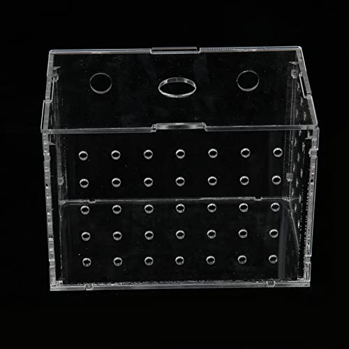 Fish Breeder Box, Aquarium Fish Breeding Box, High Transparency Acrylic Hatchery Incubator with Suction Cups for Baby Fish Shrimp Clownfish Isolation and Rearing (9 * 6 * 7CM) - size: 9*6*7CM
