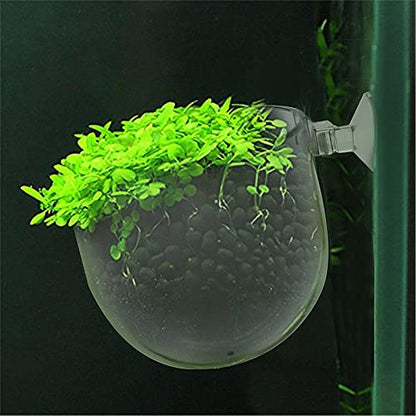 Uenhoy 5 Pcs Acrylic Aquarium Plant Pot Suction Cup Fish Tank Holder 2.44" | Acrylic Transparent Durable, Suction Cup Firm Hold, Bottom Permeable Hole For Roots, 2.44"x2.56", Fish Tank Aquarium Decor - size: 5 Pcs