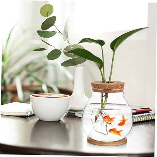 Desktop Hydroponic Glass Fish Bowl with Cushion Small Betta Fish Tank for Plant Terrarium Decor with Mat for Home and Office