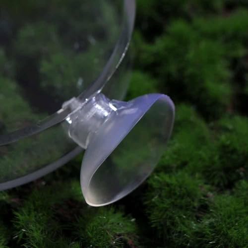 Shrimp Food Box, Round/Square Practical Fish Feeding Bowl, Acrylic Transparent Aquarium Accessories Fish Feeding Dish Shrimp Food Feeding Circle(C) - style: C
