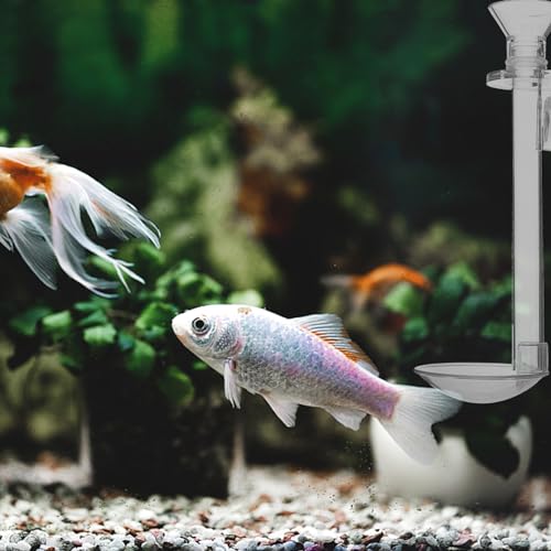 INOOMP Aquarium Feeding Tube with Feeding Ring Transparent Wall-Mounted Fish Feeder for Shrimp Tank Supplies Sinking Feed Dish Easy Setup 5.90 X 1.96 X 1.96 in