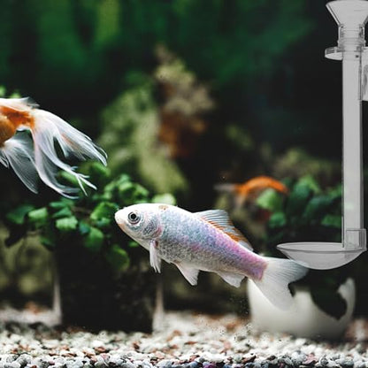 INOOMP Aquarium Feeding Tube with Feeding Ring Transparent Wall-Mounted Fish Feeder for Shrimp Tank Supplies Sinking Feed Dish Easy Setup 5.90 X 1.96 X 1.96 in