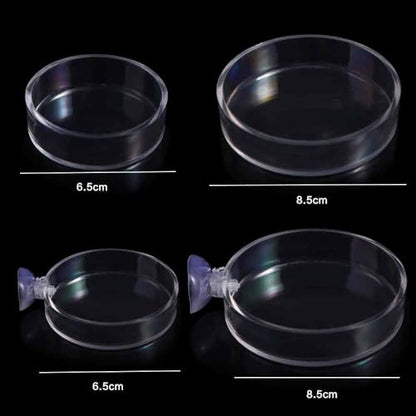 Shrimp Food Box, Round/Square Practical Fish Feeding Bowl, Acrylic Transparent Aquarium Accessories Fish Feeding Dish Shrimp Food Feeding Circle(D) - style: D