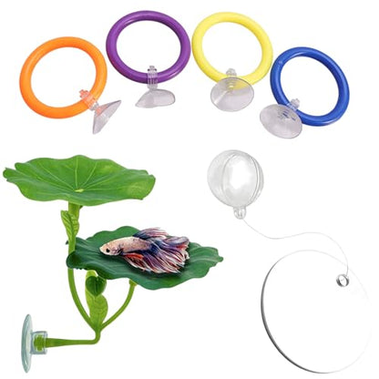 6 Pcs Betta Fish Toys, 4 Betta Rings, 1 Aquatic Plant & 1 Training Mirror, Betta Enrichment Toys for Betta Tank, Aquarium Interactive Play