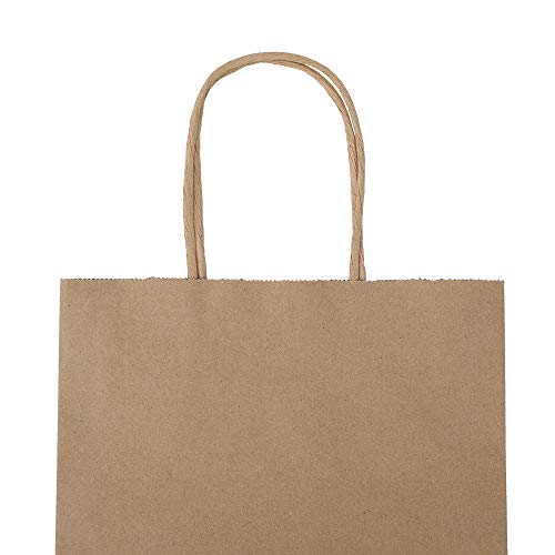 bagmad 100 Pack 8x4.75x10 Inch Plain Medium Paper Bags with Handles Bulk, Brown Kraft Craft Gift Bags, Grocery Shopping Retail Birthday Party Favors Wedding Sacks (Natural Brown, 100pcs) - color: Brown