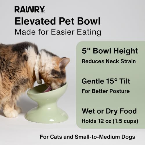 RAWRY Raised Ceramic Cat Bowl, Elevated Tilted Cat Bowl, Wide Shallow Cat Dish, Whisker Fatigue Cat Bowl, Dishwasher & Microwave Safe for Wet or Dry Food, Cats & Small Dogs, 12 oz (Seafoam) - color: Seafoam
