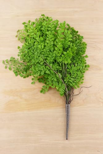 Richland Fern Bush 18" Artificial Maidenhair Set of 12 - color: Green, size: 18'' (Set 12)
