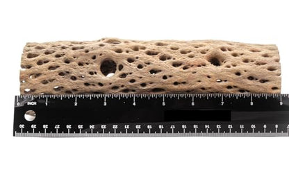 3, 6, 9, 12 Inch All Natural Teddy Bear Cholla Wood Extra Hollow Untreated Organic Aquarium Driftwood Decoration Chew Toy Shrimp Crab Cichlid Nano Tank Birds 1 or 5 Pieces (1 Piece, 9 inch) - size: 1 Piece, 9 inch