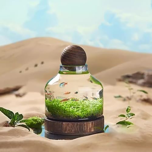 Glass Aquarium with Wooden Base, Microecosphere Fish Tank, Transparent Bottle-Shaped Batta Fish Bowel, Micro-Landscape Ecological Aquarium, Modern Glass Goldfish Tank,S - color: S